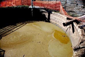 Liquid effluent from the Werkhoven Dairy arrives at Qualco via a mile-long pipe.